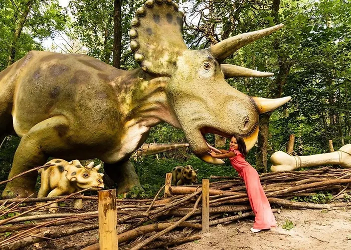 Villa Houtlodge 18 Persons Voorthuizen