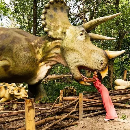 Villa Houtlodge 18 Persons Voorthuizen